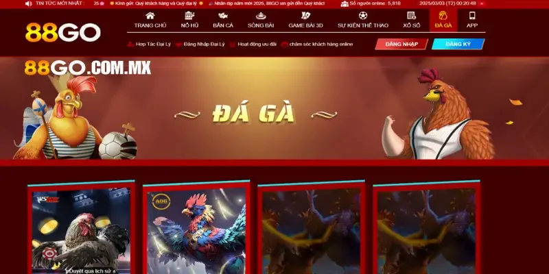 Các giao diện trang web rất dễ điều hướng