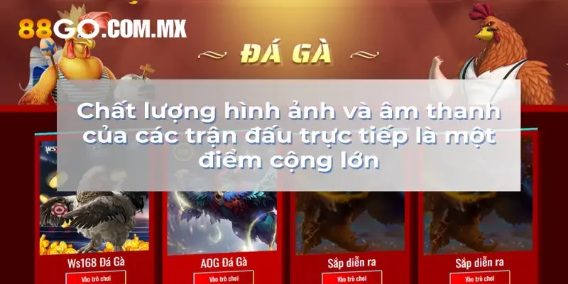 Độ sắc nét của hình ảnh và âm thanh trong các trận đấu phát sóng trực tiếp lớn
