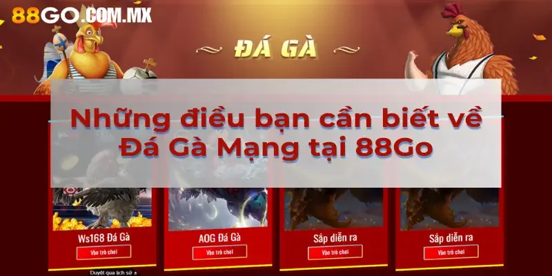 Những điều bạn cần biết về Đá gà mạng 